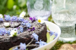 Body Rescue Chocolate goo cake