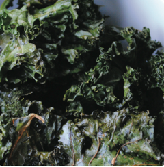 Salt & vinegar kale crisps