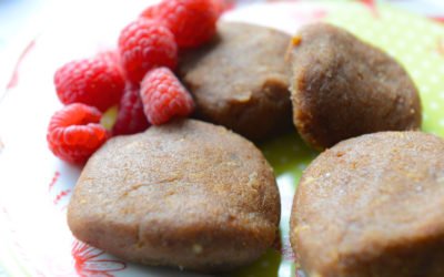 Acai and Maca Libido Bars