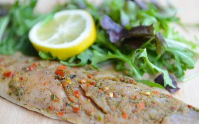 Spicy Mackerel with Green Salad