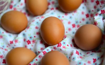 Eggs on top