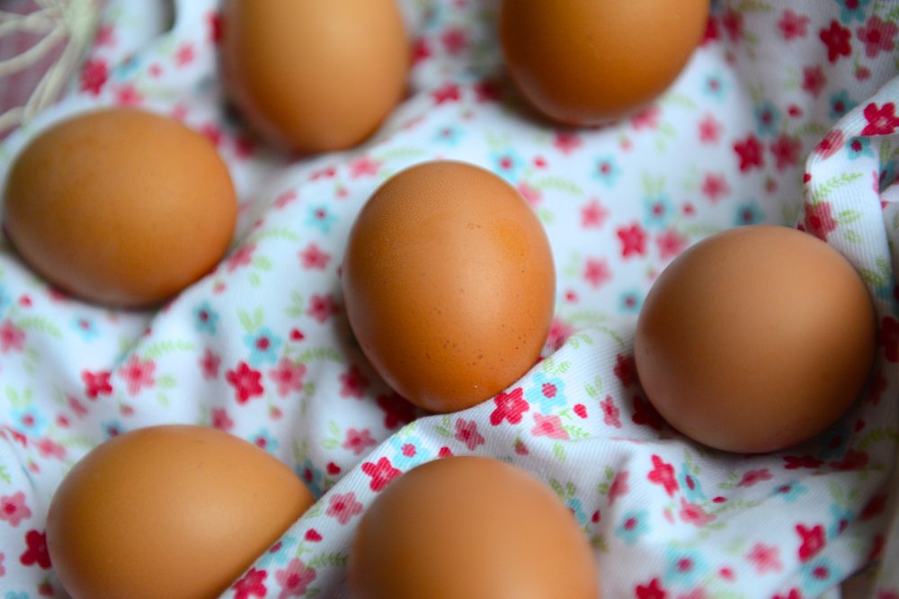 Eggs on top