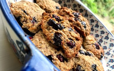 Blueberry Banana Cookies