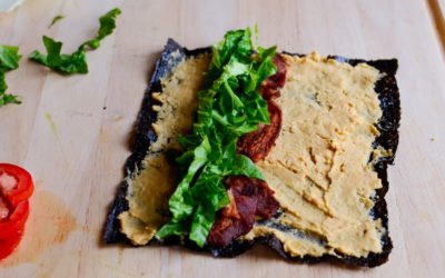 Nori strips and homous